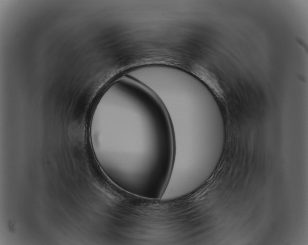 X0000093220156200709261453