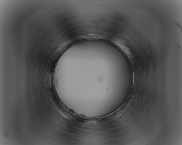 X0000093220157200709261453