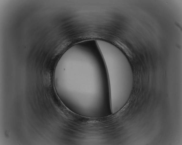 X0000093220158200709261453