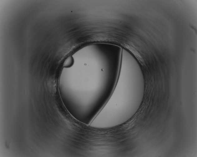 X0000093220160200709261453