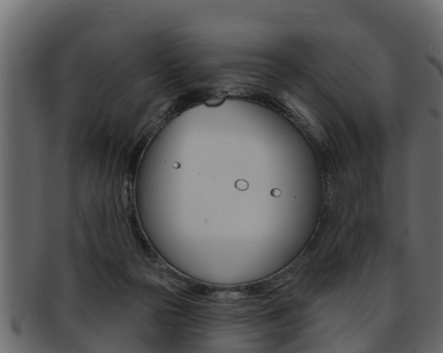 X0000093220169200709261453