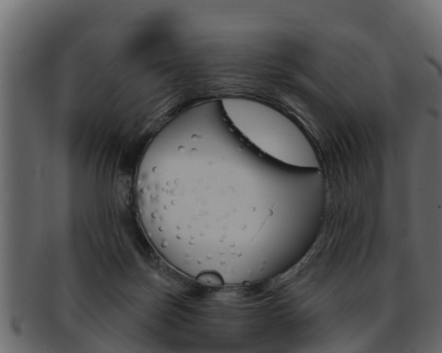X0000093220171200709261453