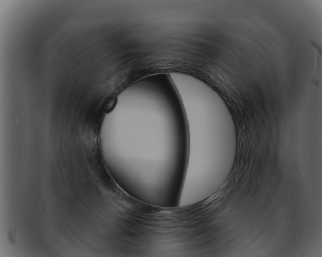 X0000093220176200709261453