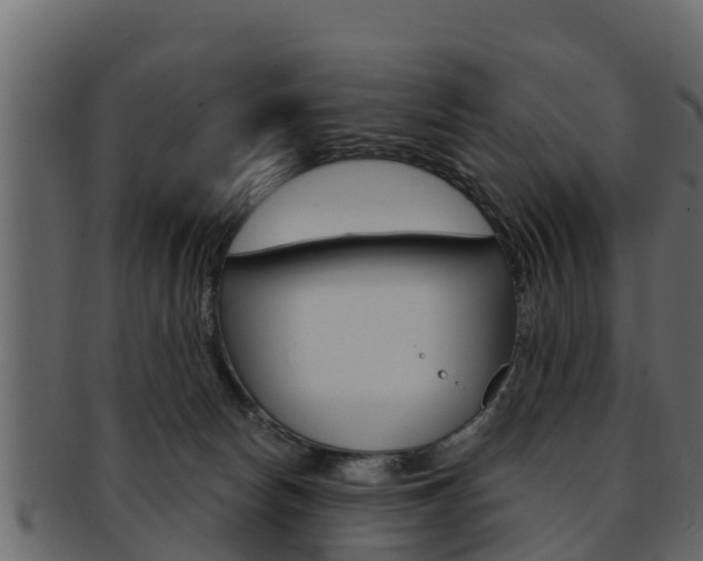 X0000093220178200709261453
