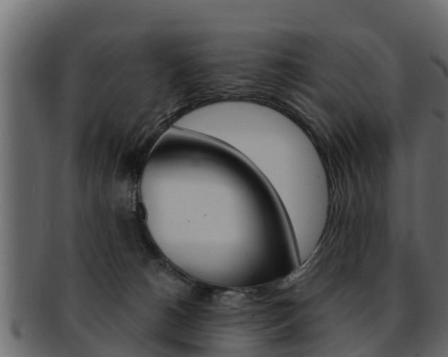 X0000093220180200709261453