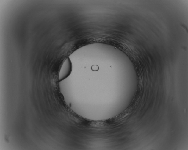 X0000093220181200709261453