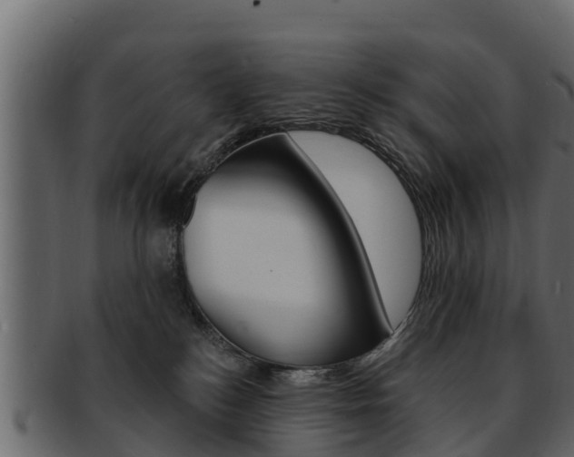 X0000093220184200709261453