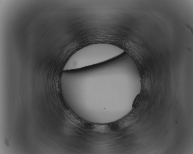 X0000093220185200709261453