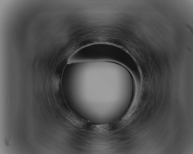 X0000093220188200709261453