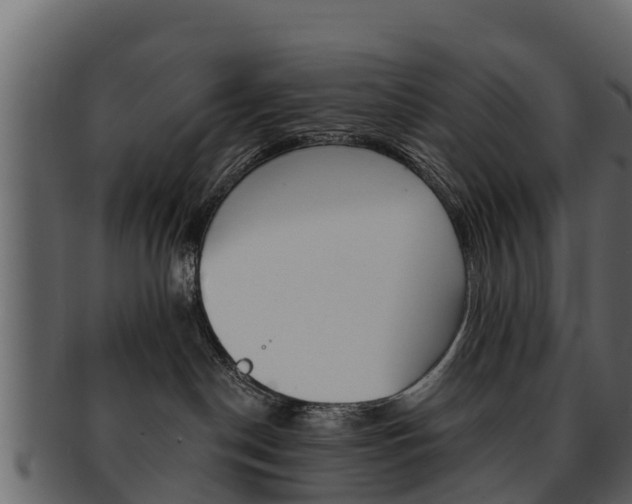 X0000093220190200709261453