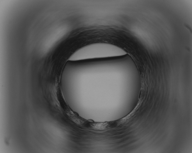 X0000093220191200709261453