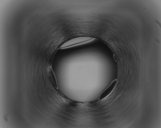 X0000093220192200709261453