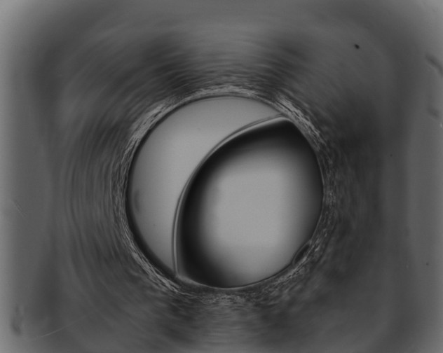 X0000093220193200709261453
