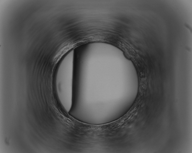 X0000093220194200709261453