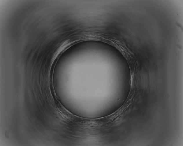 X0000093220195200709261453