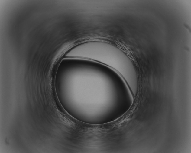 X0000093220197200709261453