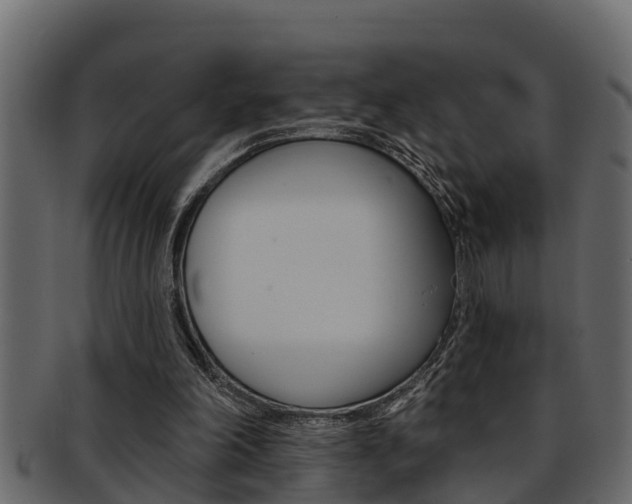 X0000093220198200709261453