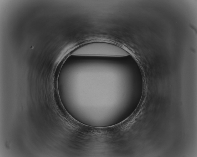 X0000093220199200709261452