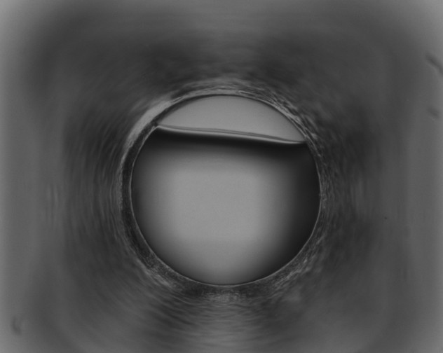 X0000093220200200709261452
