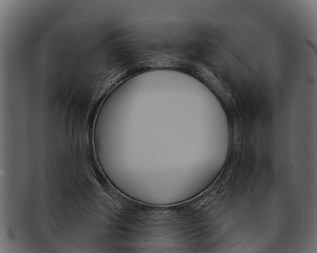 X0000093220202200709261452