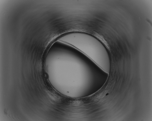 X0000093220204200709261452