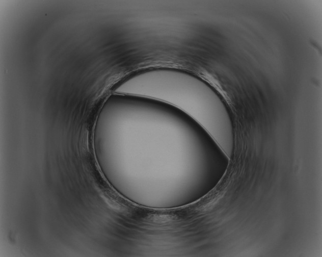 X0000093220205200709261452