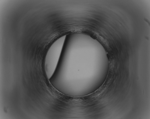 X0000093220209200709261452