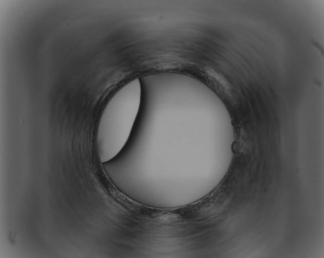 X0000093220210200709261452