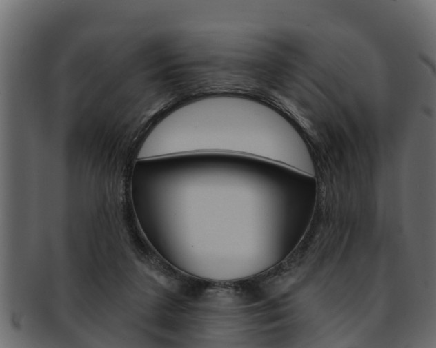 X0000093220211200709261452