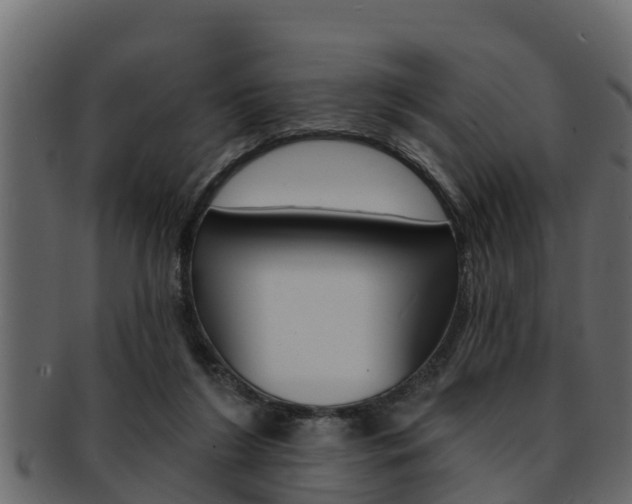 X0000093220212200709261452