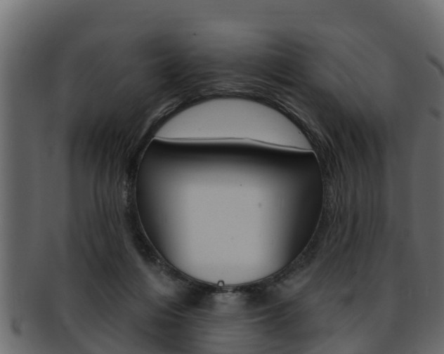 X0000093220216200709261452