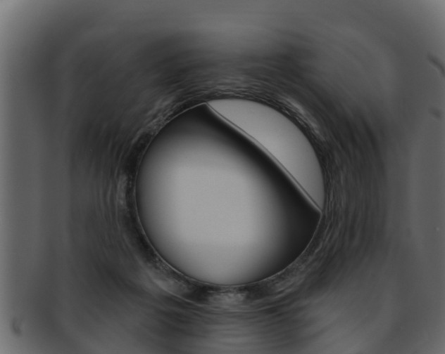 X0000093220217200709261452