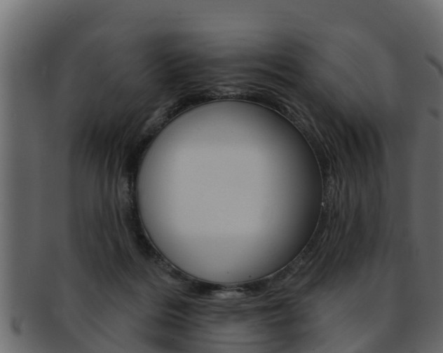 X0000093220220200709261452