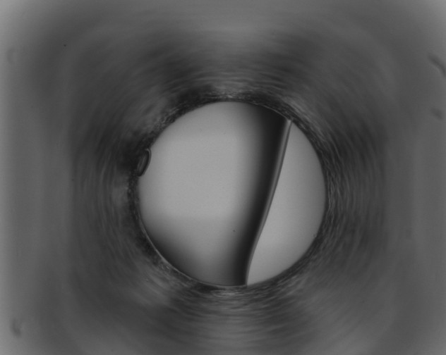 X0000093220221200709261452