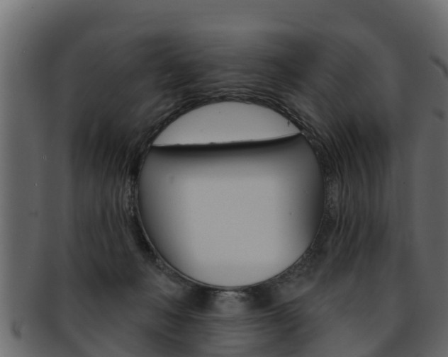 X0000093220222200709261452