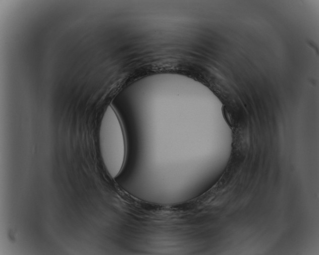 X0000093220224200709261452
