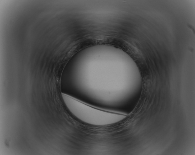 X0000093220225200709261452