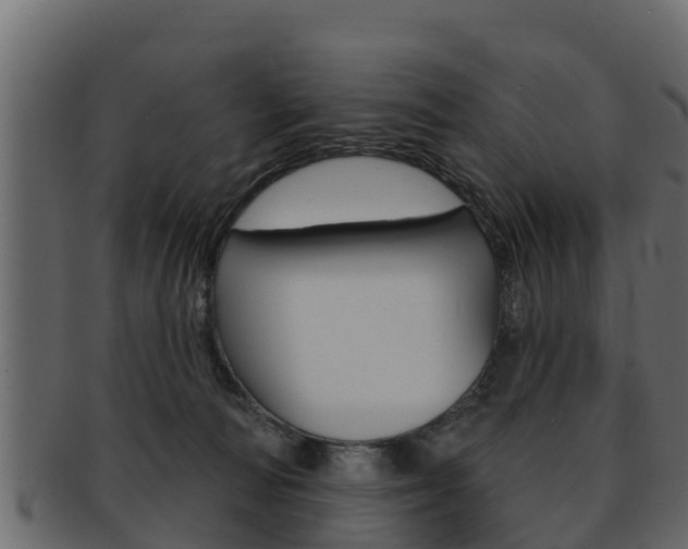 X0000093220226200709261452