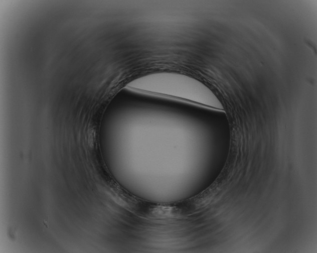 X0000093220227200709261452