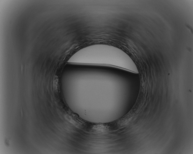 X0000093220231200709261452
