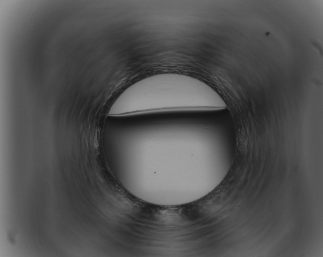 X0000093220232200709261452