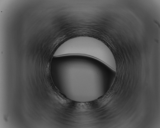 X0000093220239200709261452