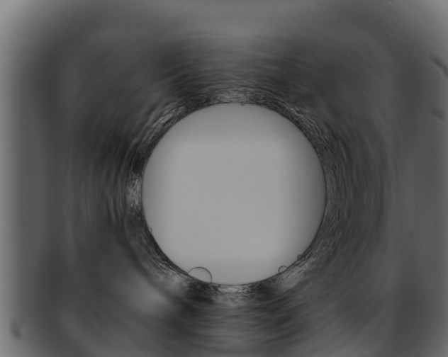 X0000093220240200709261452