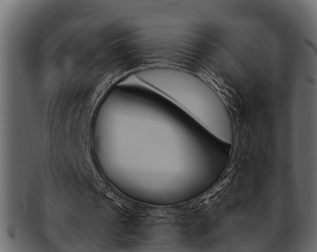 X0000093220241200709261451