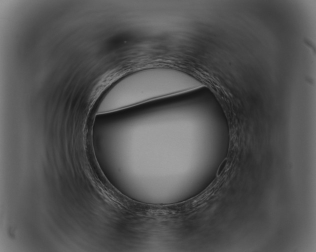 X0000093220242200709261451