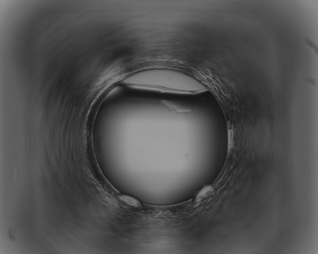 X0000093220243200709261451