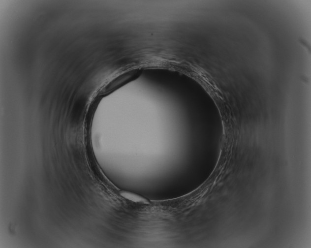X0000093220244200709261451