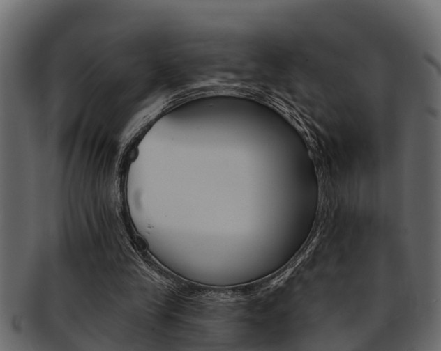X0000093220245200709261451