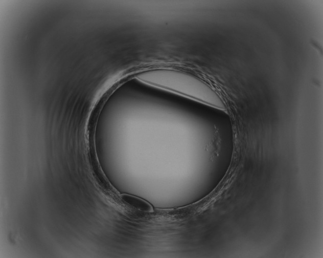 X0000093220246200709261451