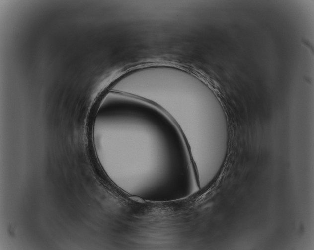 X0000093220248200709261452